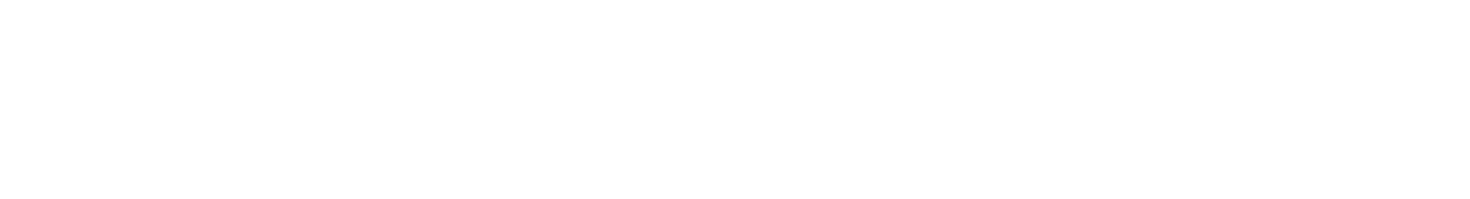 footer-bottom-decor