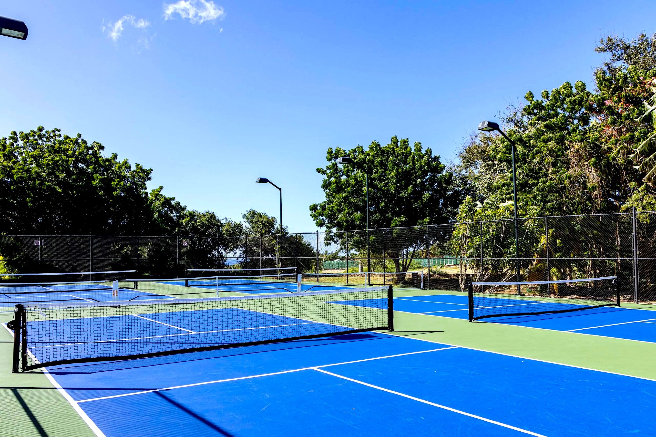 Pickleball BALANZA
